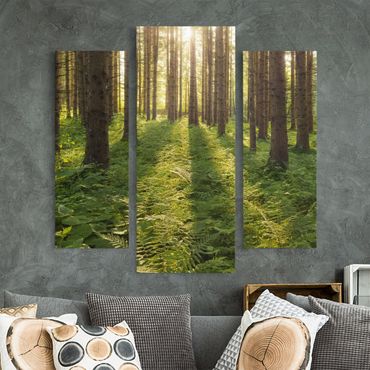 Stampa su tela 3 parti - Sun Rays In Green Forest - Trittico da galleria