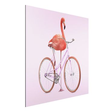 Stampa su alluminio - Flamingo con la bicicletta - Quadrato 1:1