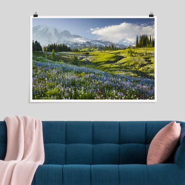 Poster natura & paesaggio - Prato di montagna con fiori blu davanti al monte Rainier