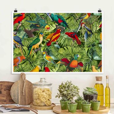 Poster - Colorato collage - Parrot In The Jungle - Orizzontale 2:3