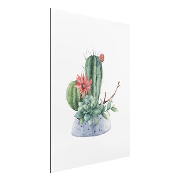 Stampa su alluminio - Illustrazione di cactus in acquerello