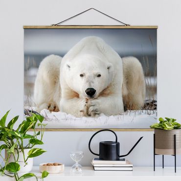 Foto su tessuto da parete con bastone - Pensieroso Polar Bear - Orizzontale 3:4