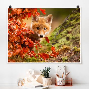 Poster - Fox In The Fall - Orizzontale 3:4