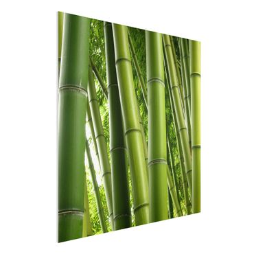 Quadro in forex - Bamboo Trees No.1 - Quadrato 1:1