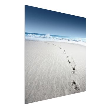 Quadro in forex - Footprints in the sand - Quadrato 1:1