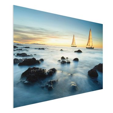 Quadro in forex - Sailboats in the ocean - Orizzontale 3:2