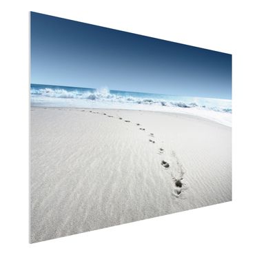 Quadro in forex - Footprints in the sand - Orizzontale 3:2