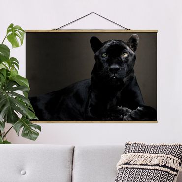 Foto su tessuto da parete con bastone - nero Puma - Orizzontale 2:3