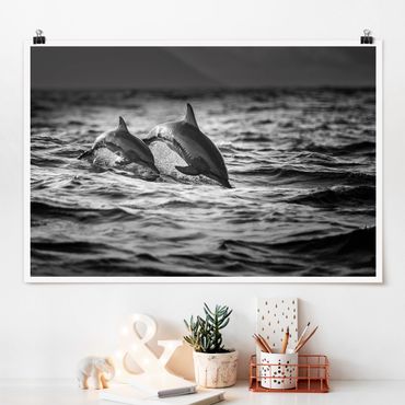 Poster - Due delfini che saltano - Orizzontale 2:3