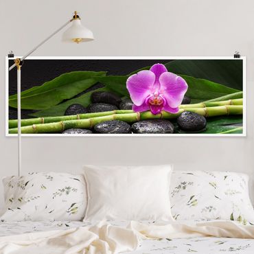 Poster - Green Bamboo Con L'orchidea Blossom - Panorama formato orizzontale