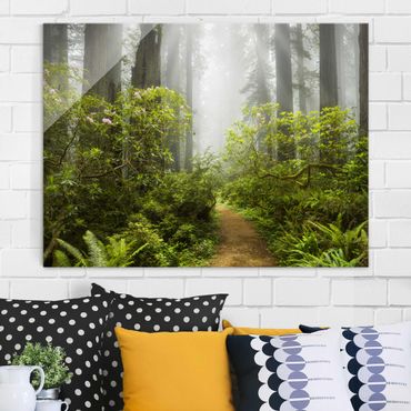 Quadro in vetro - Misty forest path - Orizzontale 4:3