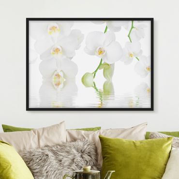 Poster con cornice - Wellness Orchid - White Orchid - Orizzontale 3:4