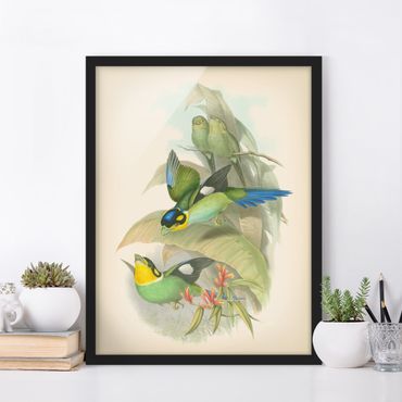Poster con cornice - Illustrazione Vintage Uccelli tropicali - Verticale 4:3