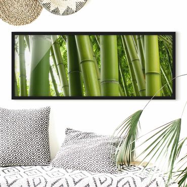 Poster con cornice - Alberi Di Bambù - Panorama formato orizzontale
