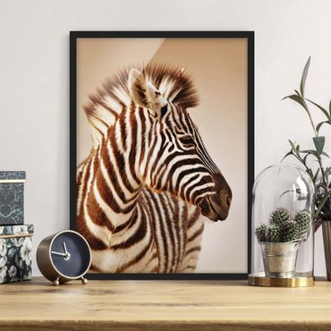 Poster con cornice - Zebra Baby Portrait - Verticale 4:3