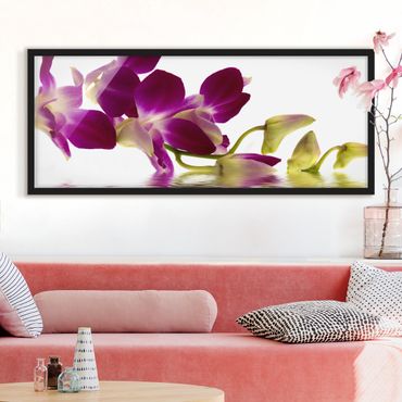 Poster con cornice - Pink Orchid Waters - Panorama formato orizzontale