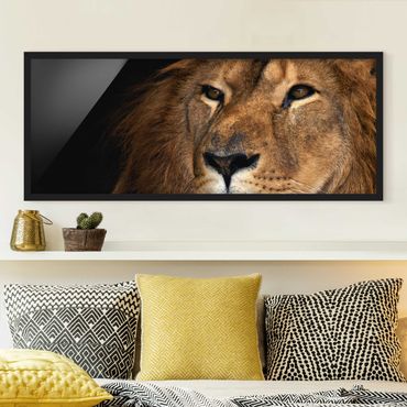 Poster con cornice - leoni guardano