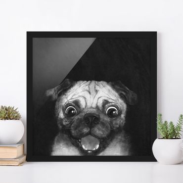 Poster con cornice - Illustrazione Pug Dog Pittura Su Bianco e nero - Quadrato 1:1