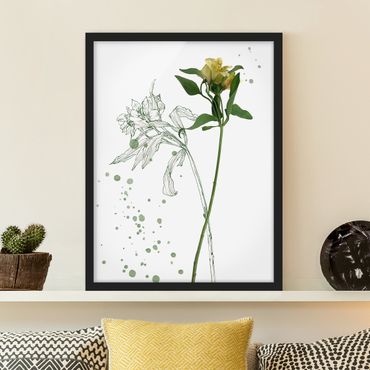 Poster con cornice - Botanico Acquerello - Lily