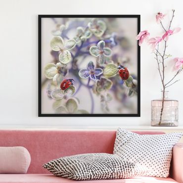 Poster con cornice - Ladybug In The Garden - Quadrato 1:1