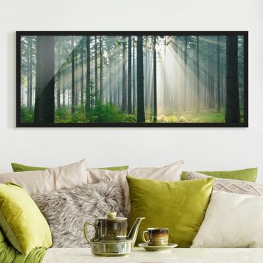 Poster con cornice - Foresta Enlightened - Panorama formato orizzontale