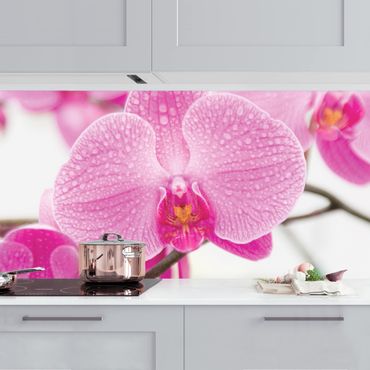 Rivestimento cucina - Orchidea in primo piano