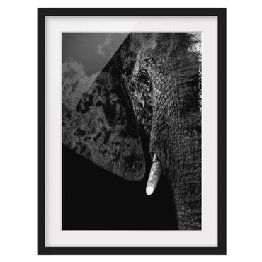 Poster con cornice - African Elephant Black And White - Verticale 4:3