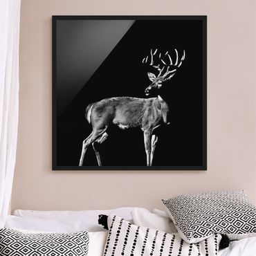 Poster con cornice - Deer In The Dark - Quadrato 1:1