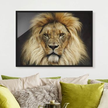 Poster con cornice - Wisdom Of Lion - Orizzontale 3:4