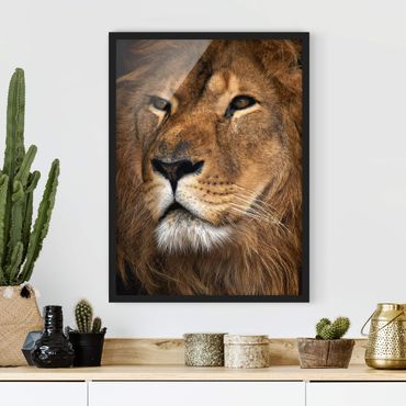 Poster con cornice - Lions Look - Verticale 4:3