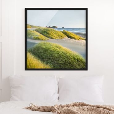 Poster con cornice - Dunes And Grasses At The Sea - Quadrato 1:1