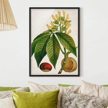 Poster con cornice - Foglia Tableau Fiore Frutta VI - Verticale 4:3