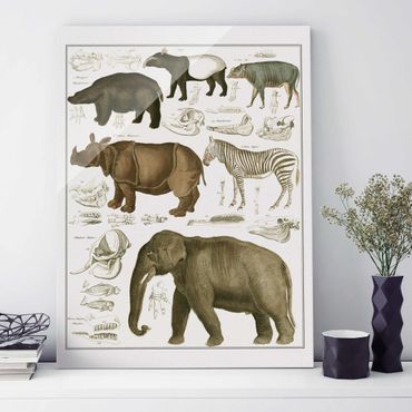 Quadro in vetro - Vintage Consiglio elefanti, zebre e Rhino - Verticale 4:3