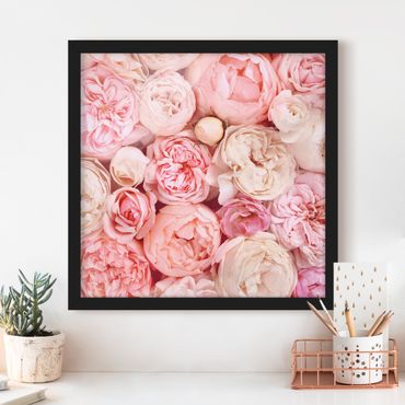 Poster con cornice - Rose Rose Coral Shabby - Quadrato 1:1