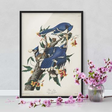 Poster con cornice - Consiglio Blue Jays d'epoca - Verticale 4:3