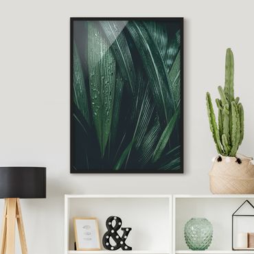 Poster con cornice - Green Palm Leaves - Verticale 4:3