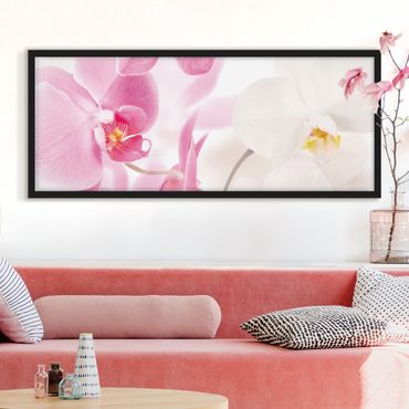 Poster con cornice - Delicate Orchidee - Panorama formato orizzontale