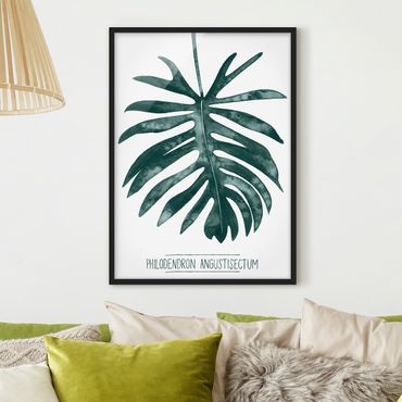 Poster con cornice - Emerald Philodendron Angustisectum - Verticale 4:3