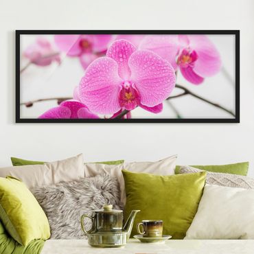 Poster con cornice - Chiudi Orchidea - Panorama formato orizzontale