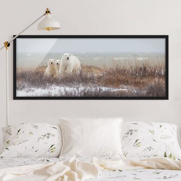 Poster con cornice - Orso polare e suoi cuccioli - Panorama formato orizzontale