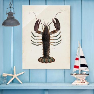 Quadro in vetro - Vintage Illustrazione Lobster - Verticale 4:3