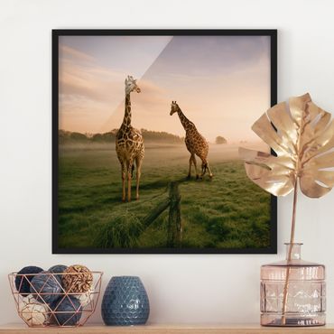 Poster con cornice - Surreal Giraffes - Quadrato 1:1