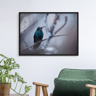 Poster con cornice - Hummingbird In Winter - Orizzontale 3:4