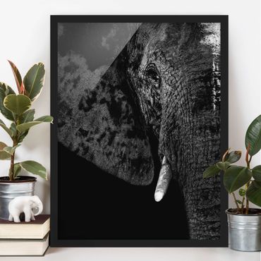 Poster con cornice - African Elephant Black And White - Verticale 4:3