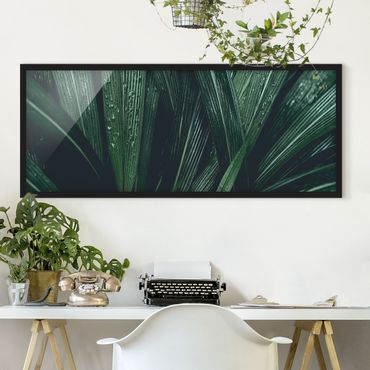 Poster con cornice - Foglie Di Palma Verde - Panorama formato orizzontale