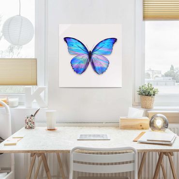 Quadro in vetro - Holographic farfalla - Quadrato 1:1