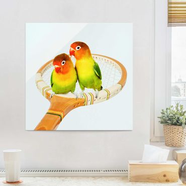 Quadro in vetro - Tennis Con Uccelli - Quadrato 1:1