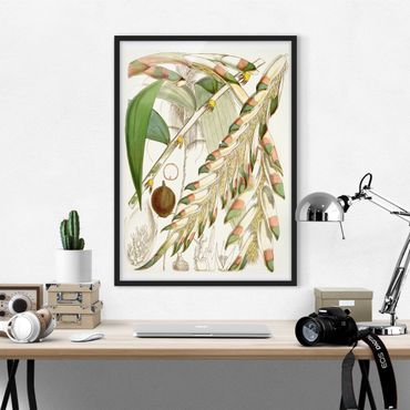 Poster con cornice - Illustrazione Vintage Tropical Flowers III - Verticale 4:3