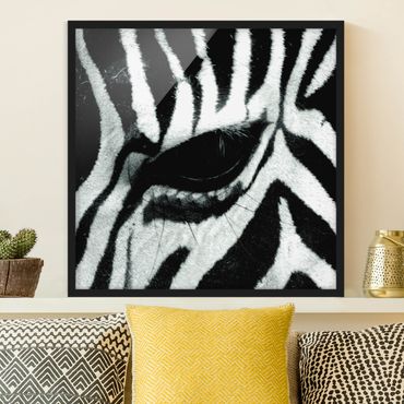 Poster con cornice - Zebra Crossing No.4
