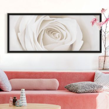 Poster con cornice - Piuttosto Rosa Bianca - Panorama formato orizzontale